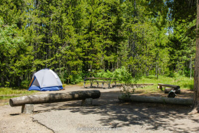 Lizard Creek Campground in Grand Teton National Park in Wyoming