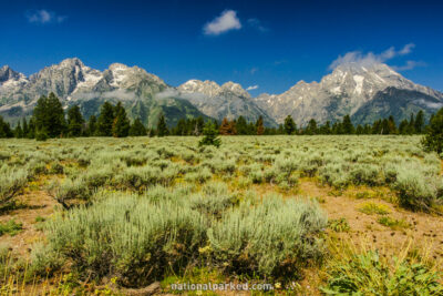 Mountain View Turnout in Grand Teton National Park in Wyoming