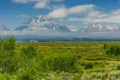 Willow Flats Overlook in Grand Teton National Park in Wyoming