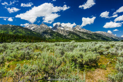 Windy Point Turnout in Grand Teton National Park in Wyoming