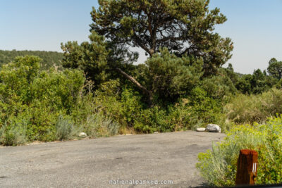 Lower Lehman Creek Campground in Great Basin National Park in Nevada