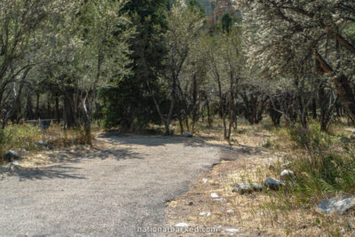 Upper Lehman Creek Campground in Great Basin National Park in Nevada