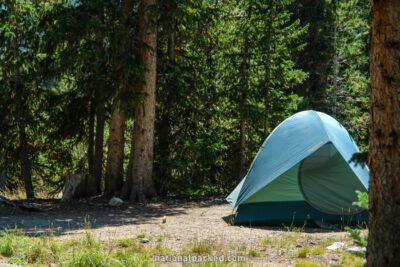 Wheeler Peak Campground in Great Basin National Park in Nevada
