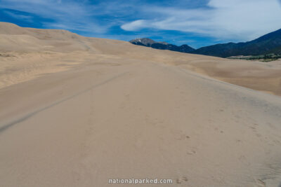 Dune Field in June in Great Sand Dunes National Park in Colorado
