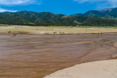 Dune Field in June in Great Sand Dunes National Park in Colorado