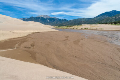 Dune Field in June in Great Sand Dunes National Park in Colorado