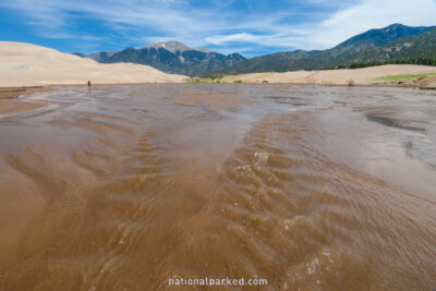 Dune Field in June in Great Sand Dunes National Park in Colorado