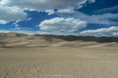Dune Field in September in Great Sand Dunes National Park in Colorado