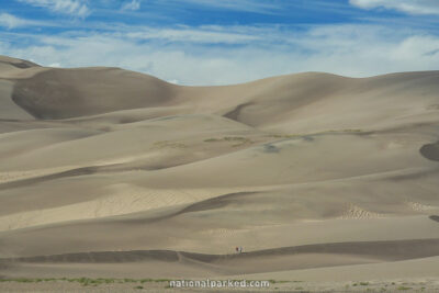 Dune Field in September in Great Sand Dunes National Park in Colorado