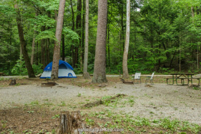 Abrams Creek Campground in Great Smoky Mountains National Park in Tennessee