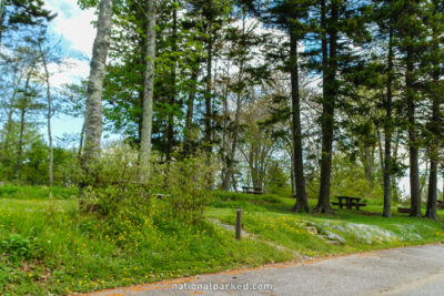 Balsam Mountain Campground in Great Smoky Mountains National Park in North Carolina