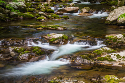 Big Creek in Great Smoky Mountains National Park in North Carolina