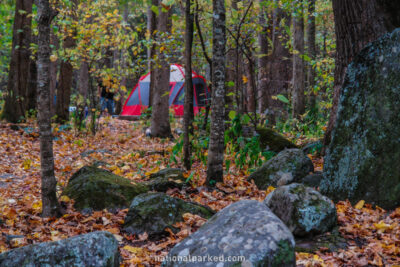 Big Creek Campground in Great Smoky Mountains National Park