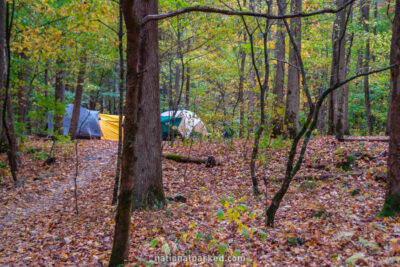 Big Creek Campground in Great Smoky Mountains National Park