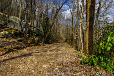 Big Creek Trail in Great Smoky Mountains National Park in North Carolina