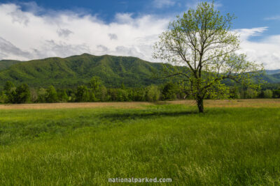 Cades Cove in Great Smoky Mountains National Park in Tennessee