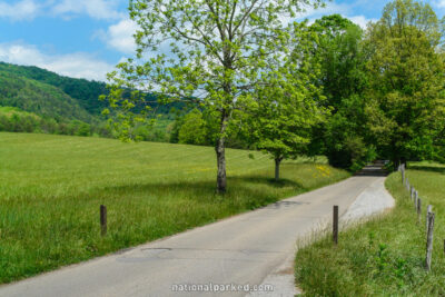 Cades Cove Loop Road in Great Smoky Mountains National Park in Tennessee