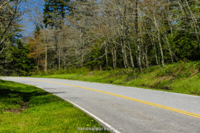 Clingman's Dome Road in Great Smoky Mountains National Park in North Carolina