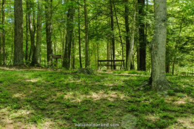 Collins Creek Picnic Area in Great Smoky Mountains National Park in North Carolina