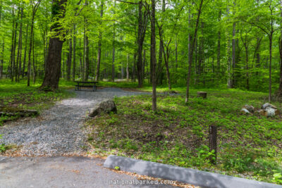 Cosby Campground in Great Smoky Mountains National Park in Tennessee