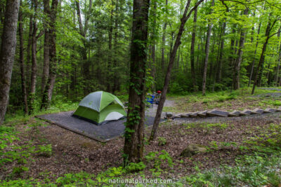 Cosby Campground in Great Smoky Mountains National Park in Tennessee