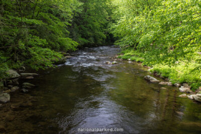 Deep Creek in Great Smoky Mountains National Park in North Carolina