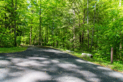 Deep Creek Campground in Great Smoky Mountains National Park in North Carolina