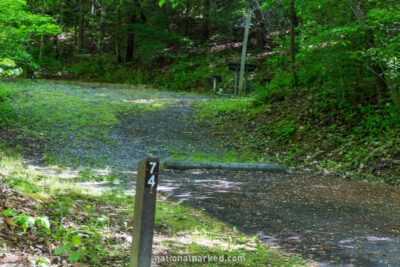 Deep Creek Campground in Great Smoky Mountains National Park in North Carolina