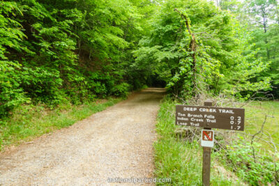 Deep Creek Trail in Great Smoky Mountains National Park in North Carolina