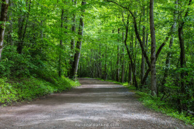 Deep Creek Trail in Great Smoky Mountains National Park in North Carolina