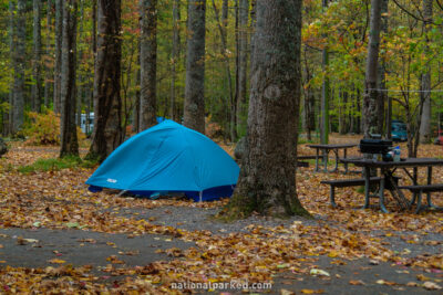 Elkmont Campground in Great Smoky Mountains National Park in Tennessee