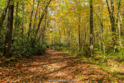 Kephart Prong Trail in Great Smoky Mountains National Park in North Carolina