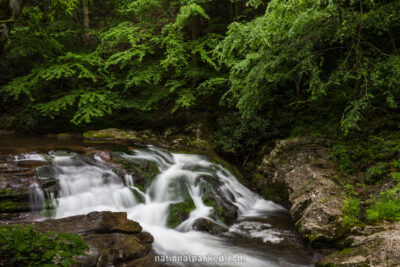 Laurel Creek in Great Smoky Mountains National Park in Tennessee