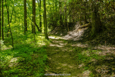 Little River Road Quiet Walkway in Great Smoky Mountains National Park in Tennessee