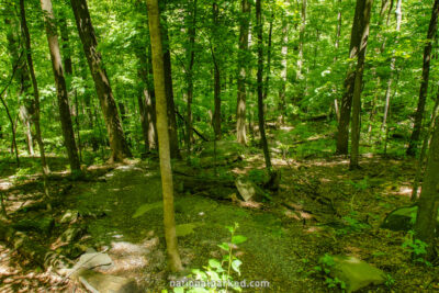 Newfound Gap Road Quiet Walkway in Great Smoky Mountains National Park in Tennessee