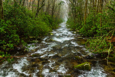 Oconaluftee River in Great Smoky Mountains National Park in North Carolina