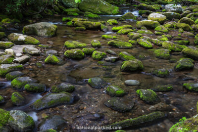Roaring Fork in Great Smoky Mountains National Park in Tennessee