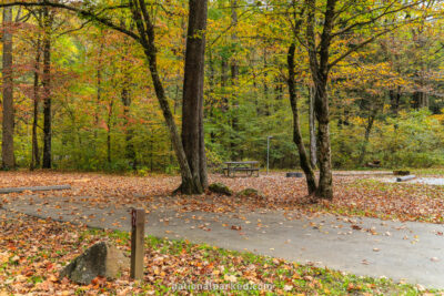 Smokemont Campground in Great Smoky Mountains National Park in North Carolina