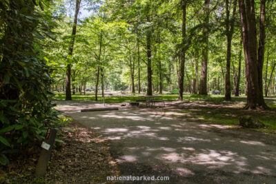 Smokemont Campground in Great Smoky Mountains National Park in North Carolina