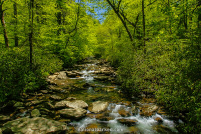 Walker Camp Prong in Great Smoky Mountains National Park in Tennessee