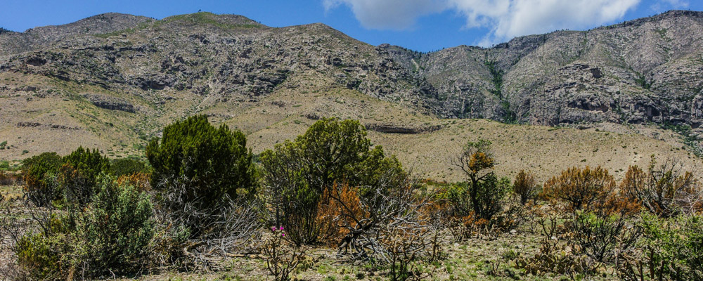 Guadalupe Mountains National Park - Ftr Manzanita Spring Trail 03718 