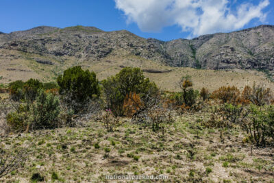 Manzanita Spring Trail in Guadalupe Mountains National Park in Texas