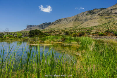 Manzanita Spring Trail in Guadalupe Mountains National Park in Texas