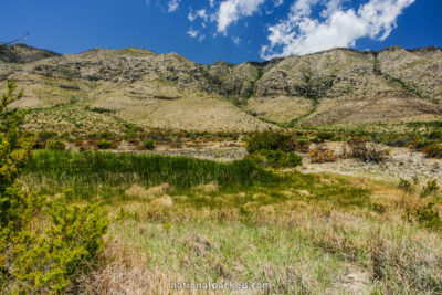 Manzanita Spring Trail in Guadalupe Mountains National Park in Texas