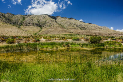 Manzanita Spring Trail in Guadalupe Mountains National Park in Texas
