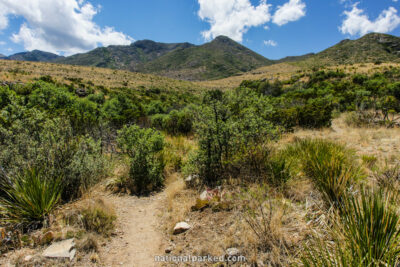McKittrick Canyon Nature Loop in Guadalupe Mountains National Park in Texas
