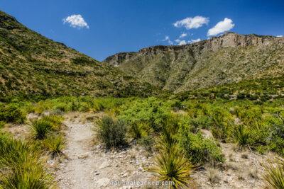 McKittrick Canyon Trail in Guadalupe Mountains National Park in Texas