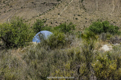 Pine Springs Campground in Guadalupe Mountains National Park in Texas