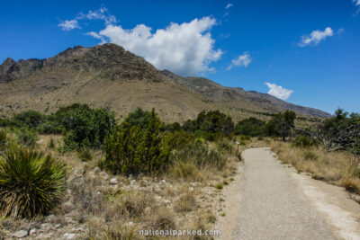 Pinery Springs Trail in Guadalupe Mountains National Park in Texas
