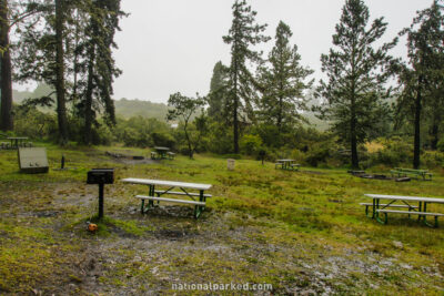 Hosmer Grove Campground in Haleakala National Park in Hawaii